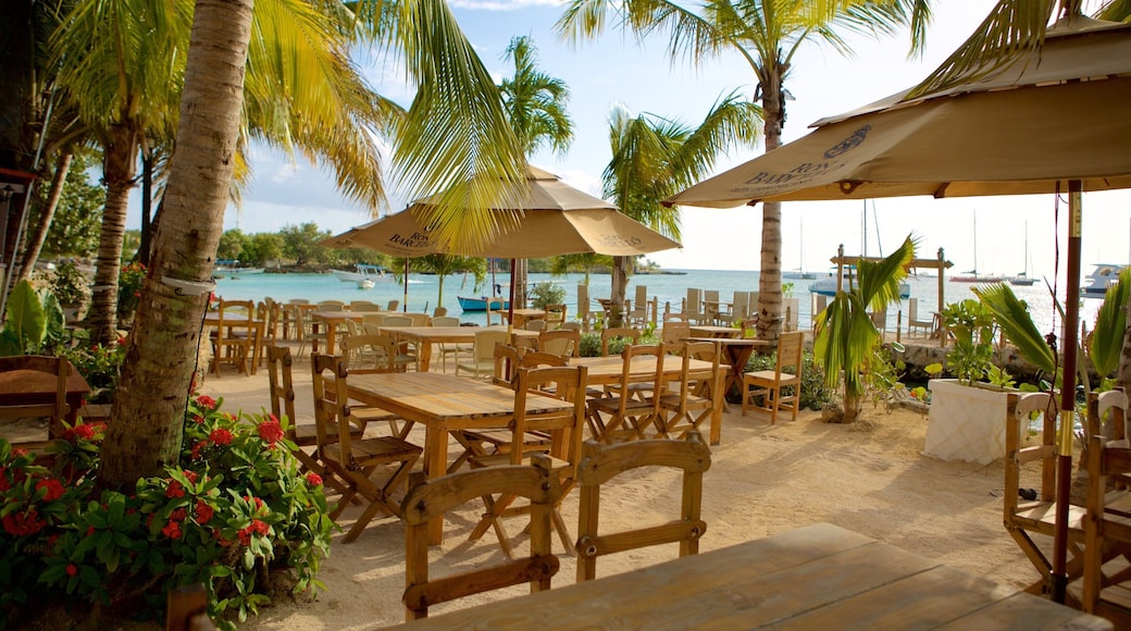 Bayahibe-stranden som inkluderer kyst og spise utendørs