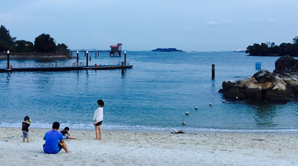 The Sunset View in Siloso Beach, Resort World, Singapore.
Children are playing at the beach and parents are looking them âșïž
#Blue #Singapore #Beach #Family