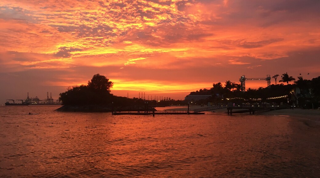 The serenity of this view is so pleasing to the heart. Priceless. ♥️🌅