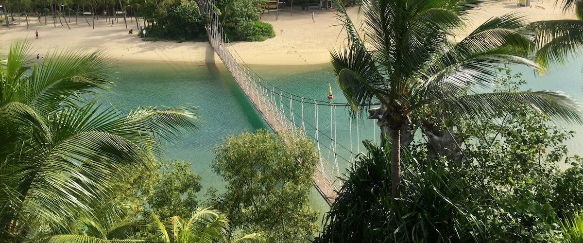 A beach with a suspension bridge, palm trees, and a clear blue water body.