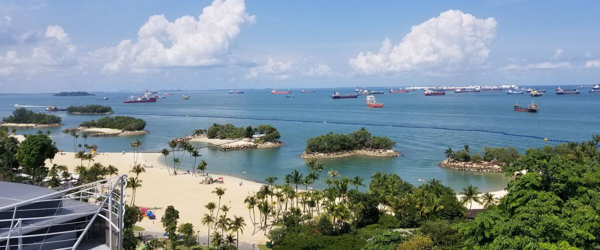 A coastal scene with a beach, palm trees, and a marina with various boats.