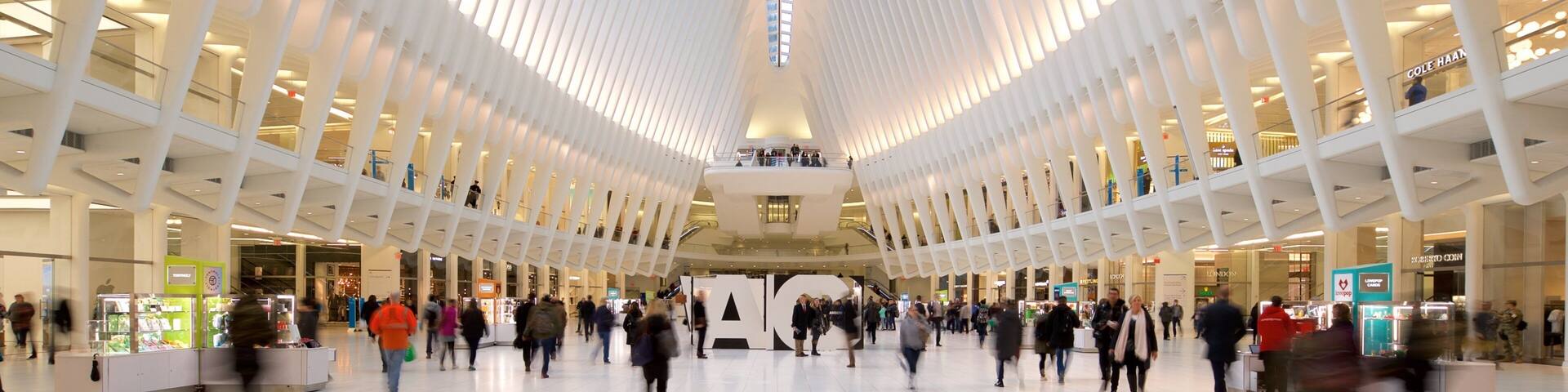 The Oculus montrant vues intérieures aussi bien que petit groupe de personnes