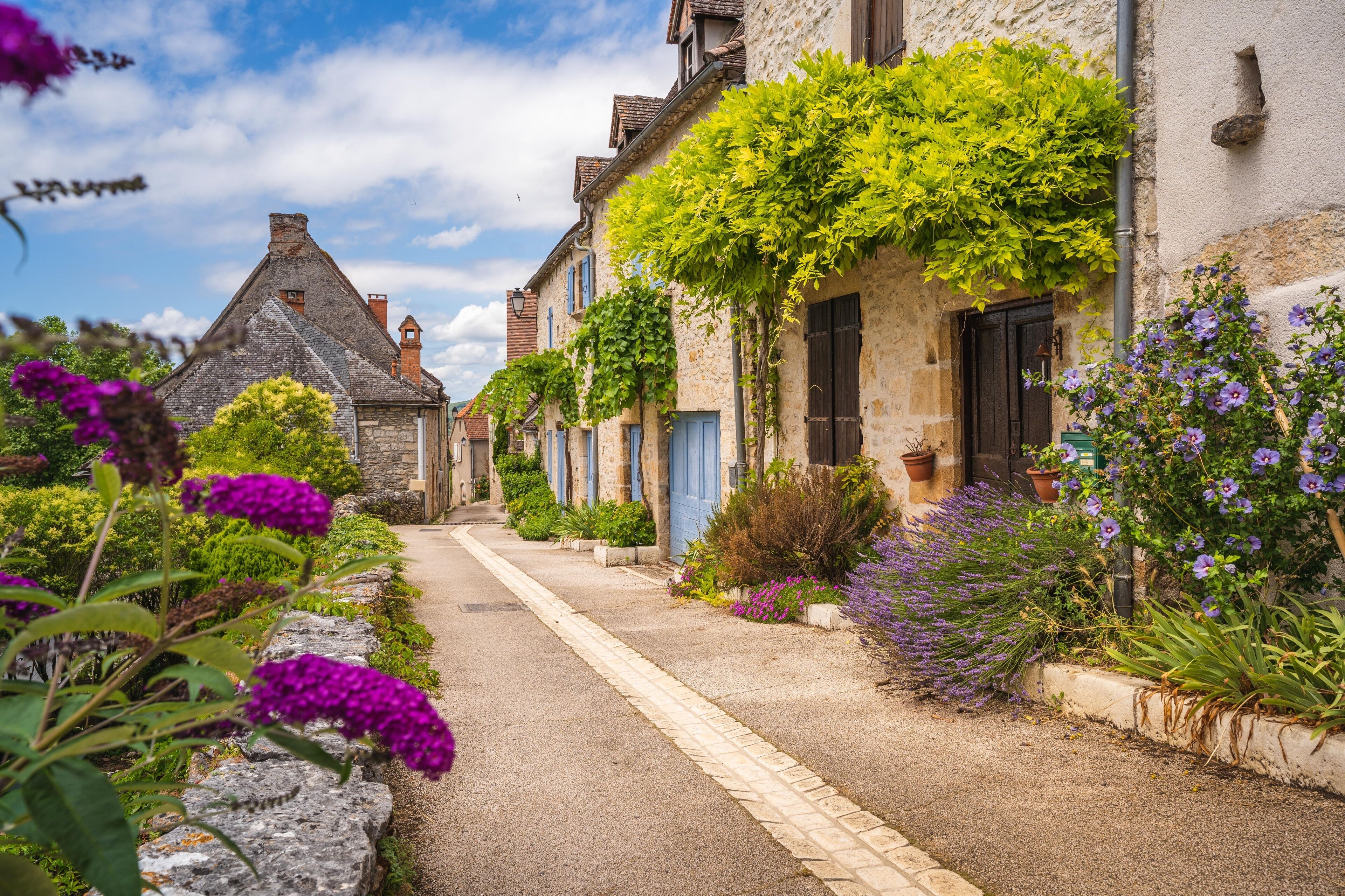 A narrow cobblestone street lined with stone buildings, some with ivy and flowering plants.