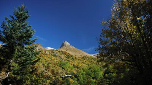 38740 Le Périer, France