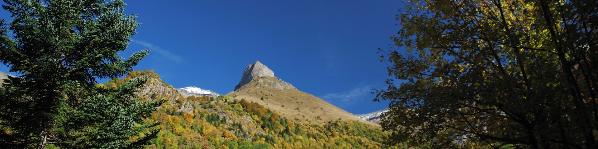 38740 Le Périer, France