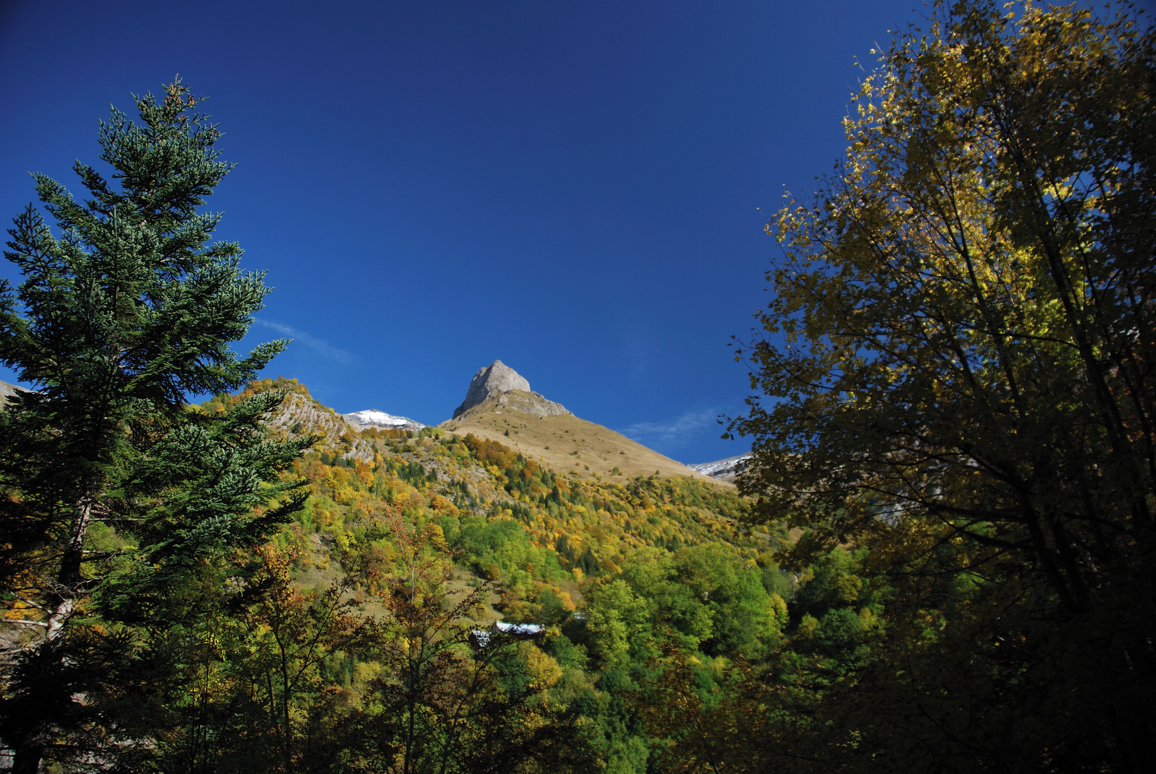 A mountain with a snow-capped peak, surrounded by autumn-colored trees and a clear blue sky.