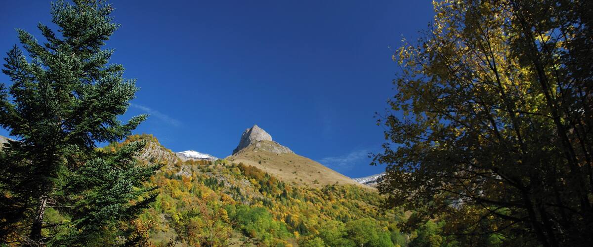 A mountain with a snow-capped peak, surrounded by autumn-colored trees and a clear blue sky.