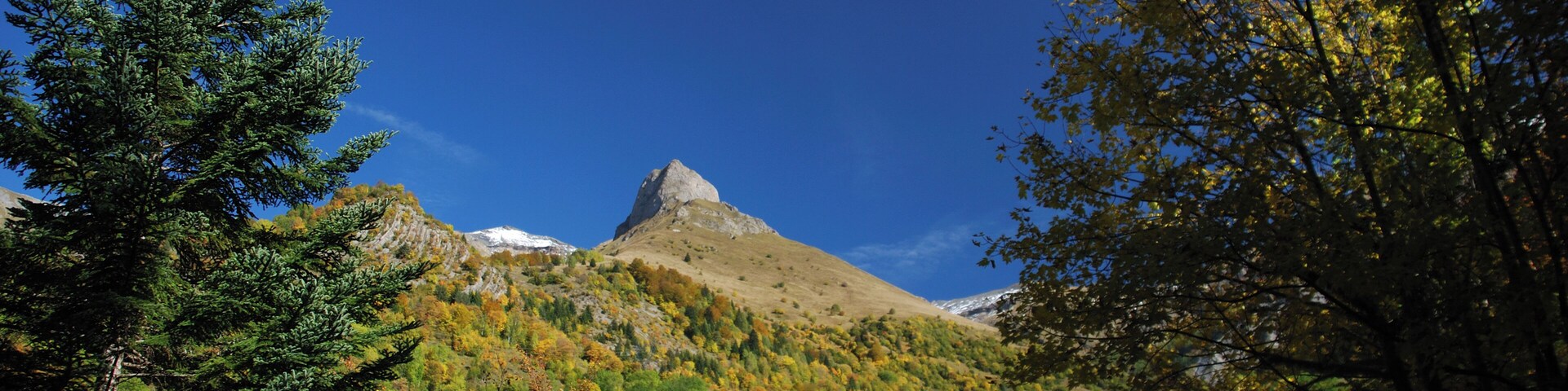 A mountain with a snow-capped peak, surrounded by autumn-colored trees and a clear blue sky.