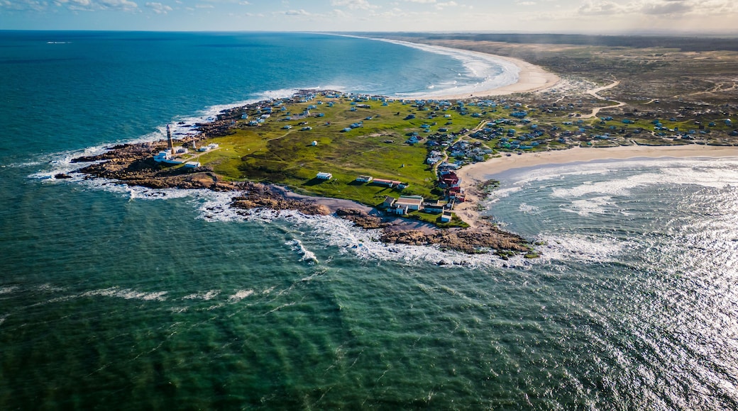 ์ค์ธ์๋์ ๋ธ ํด๋ก๋์ค