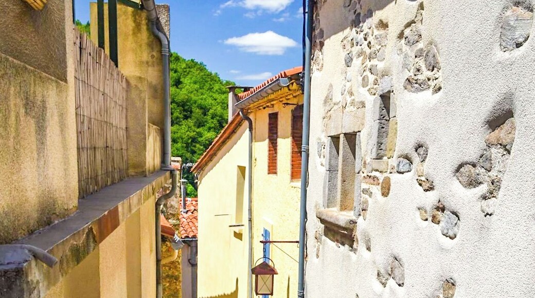 Rustic village in Southern France.