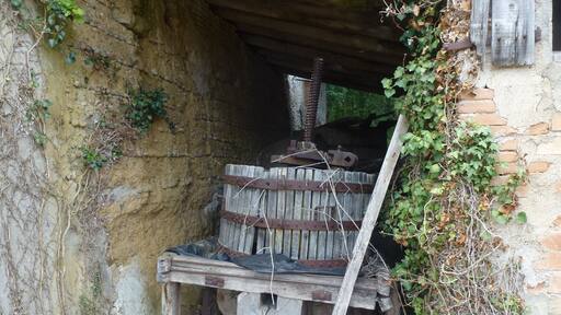 A dilapidated old wine press