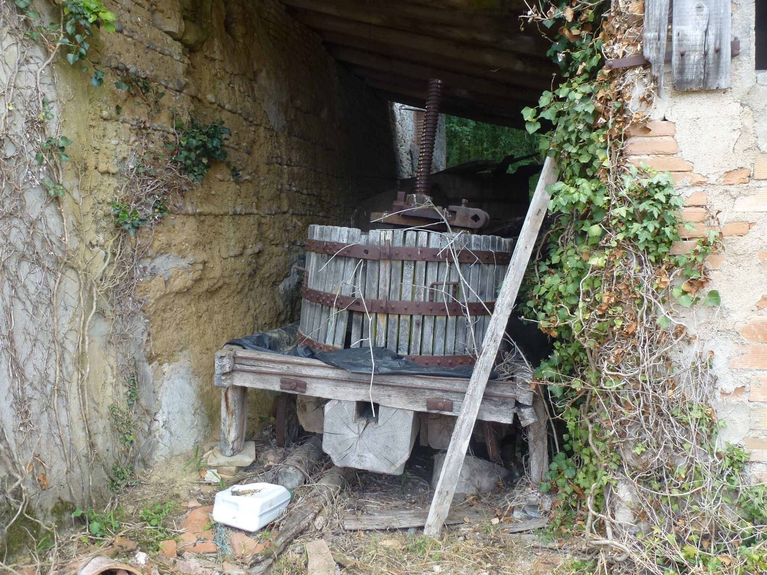 A rustic, weathered wooden structure with a metal mechanism, surrounded by overgrown vegetation and a brick wall.
