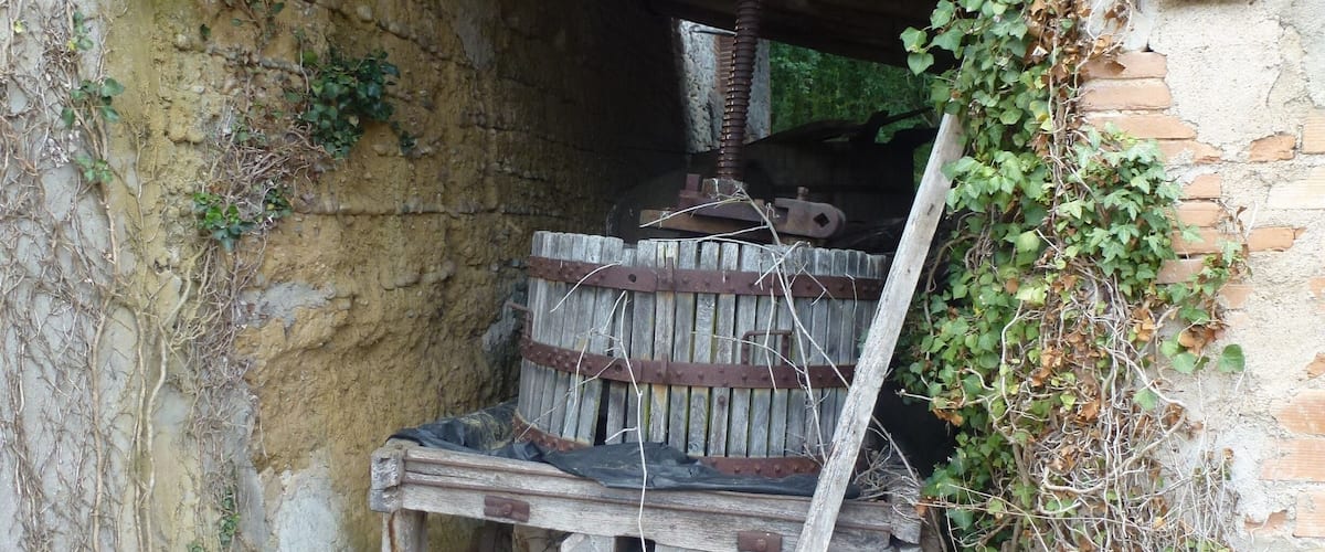 A rustic, weathered wooden structure with a metal mechanism, surrounded by overgrown vegetation and a brick wall.