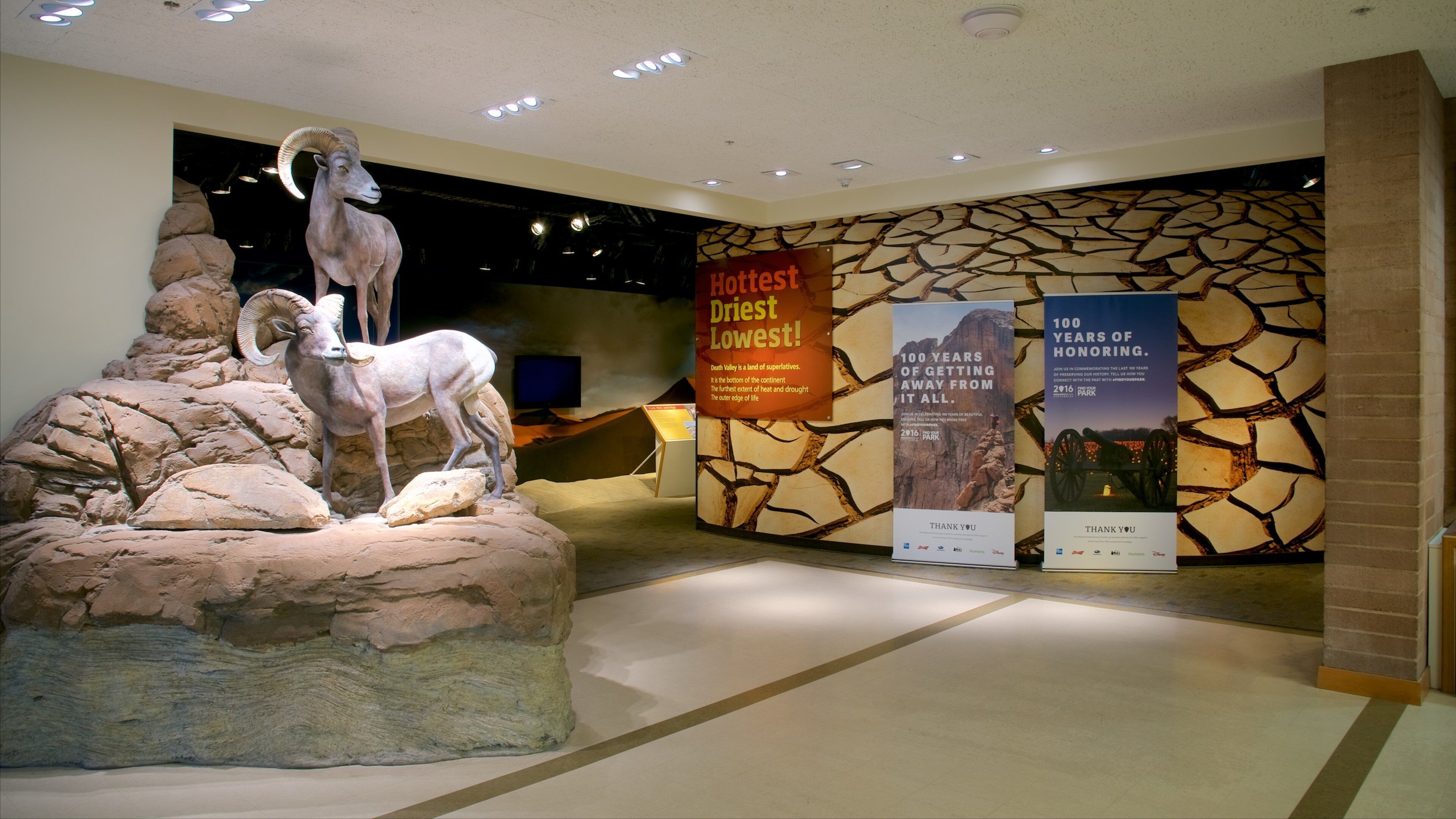 Death Valley showing interior views