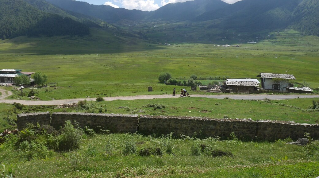 Phobjikha Valley in Bhutan
#bhutan #phobjikha