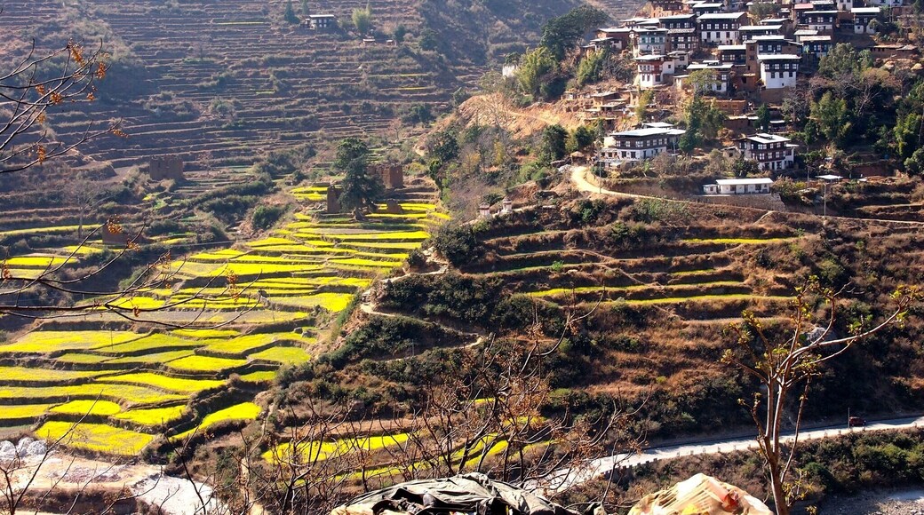 Wangdue Phodrang, Bhutan