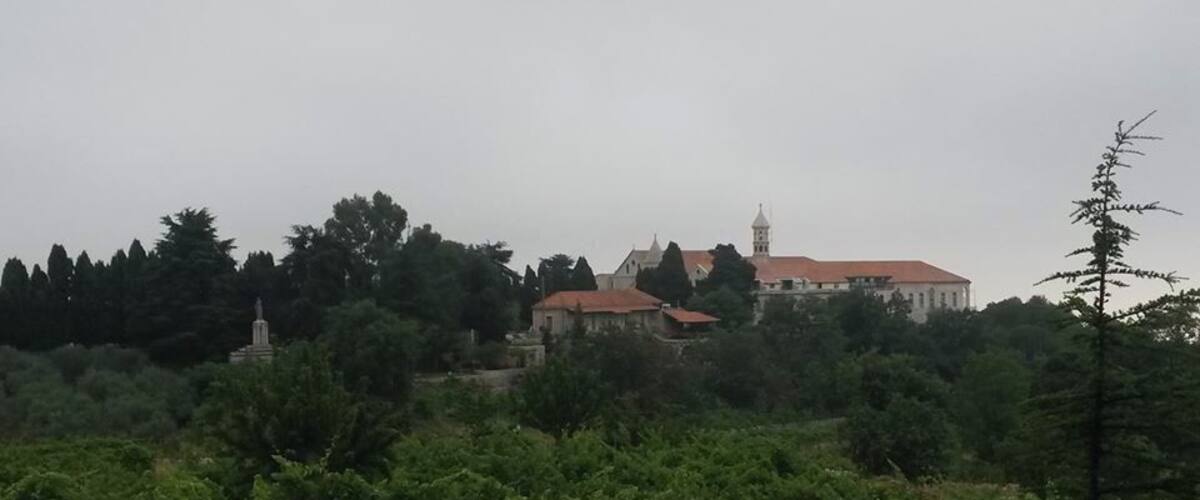 A historic building with a red roof, surrounded by dense greenery and trees.