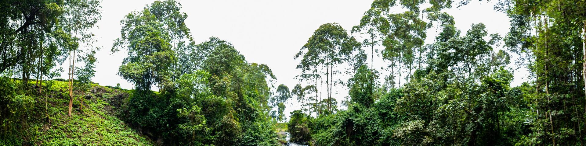 Kenya Landscapes Kathiri Waterfalls Kirinyaa Kerugoya County By Antony Trivet Travels Documentary Photography