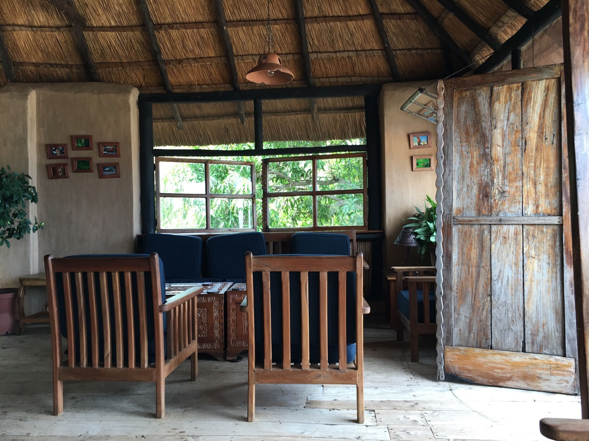 A rustic interior with wooden furniture, a thatched roof, and a large window overlooking greenery.