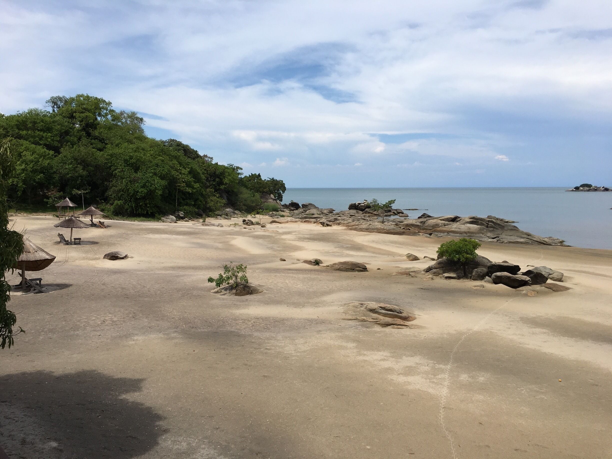 A sandy beach with scattered rocks, a few trees, and a calm sea.