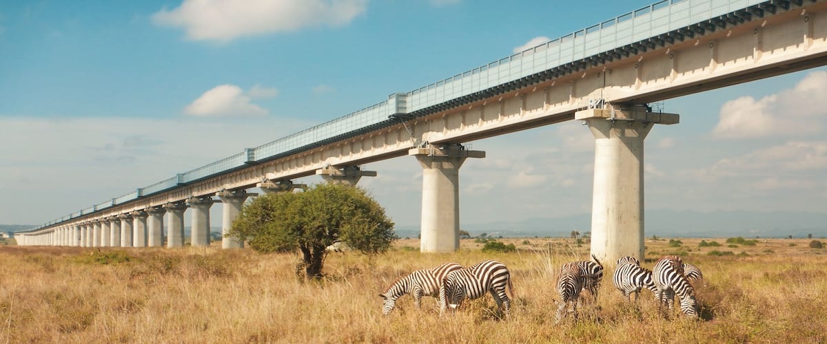 A bridge over a grassy field with zebras grazing.