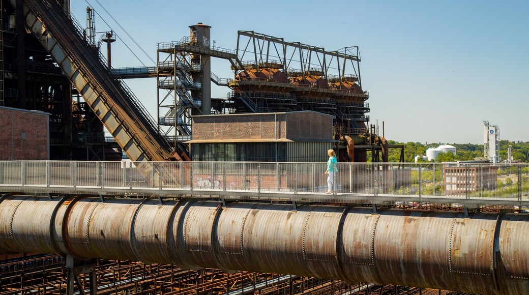 Phoenix-West which includes industrial elements as well as an individual femail