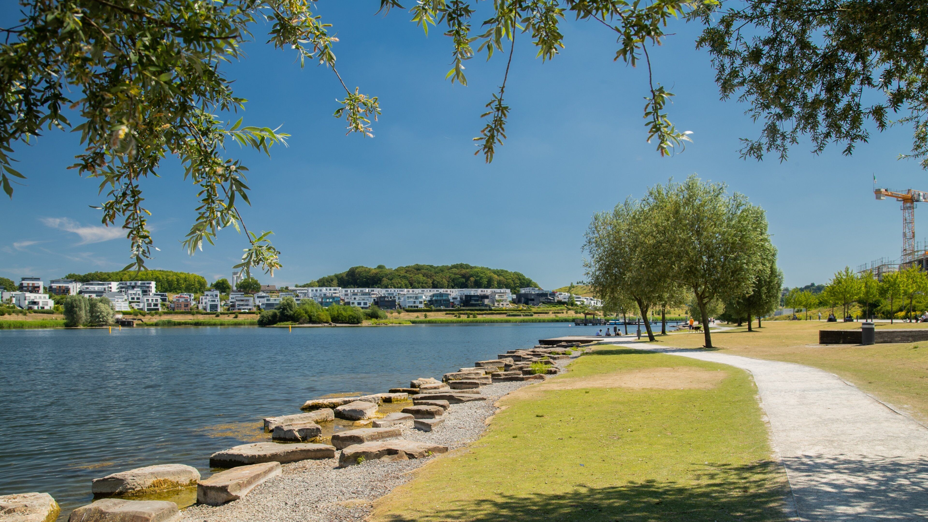 Phoenix-West showing a park and a lake or waterhole