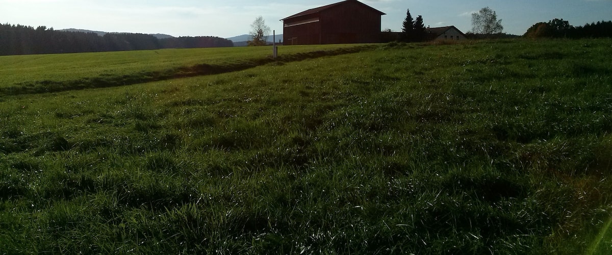 A red barn in a green field with a clear sky.