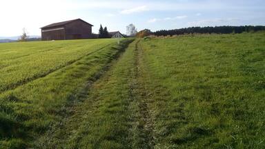 A green field with a barn and a dirt path.