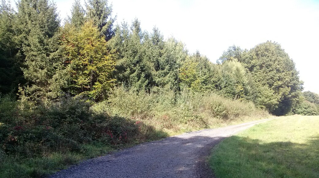 Všeruby, Czech Republic