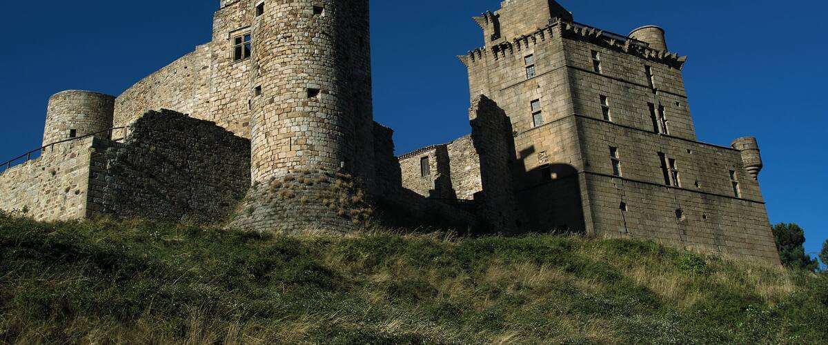 A historic stone castle with a prominent tower and battlements, situated on a grassy hill under a clear blue sky.