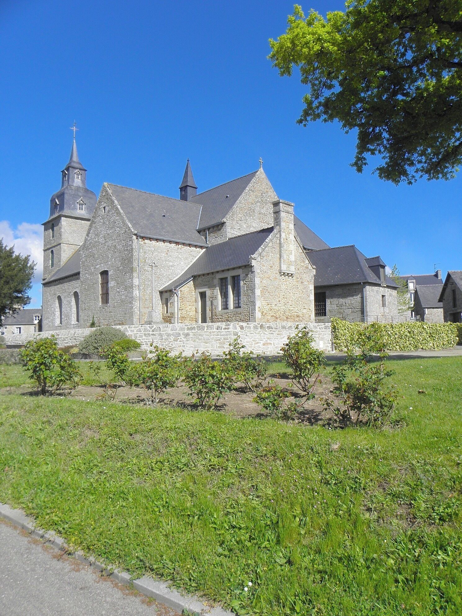 A stone church with a bell tower and a large tree in the foreground.