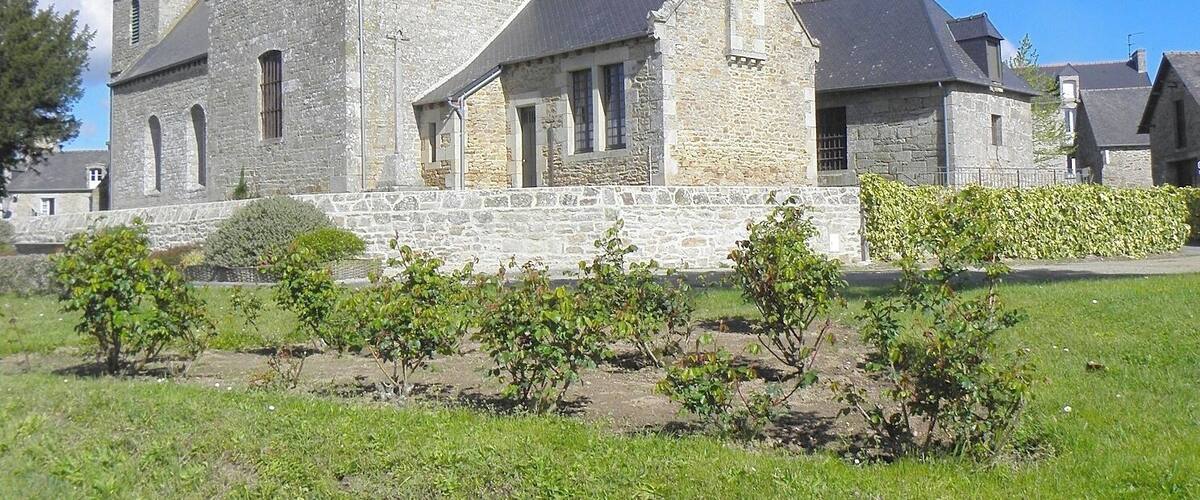 A stone church with a bell tower and a large tree in the foreground.
