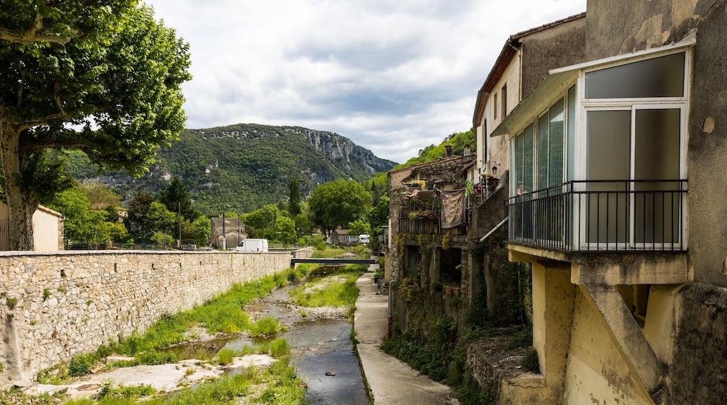 Saint-Laurent-le-Minier