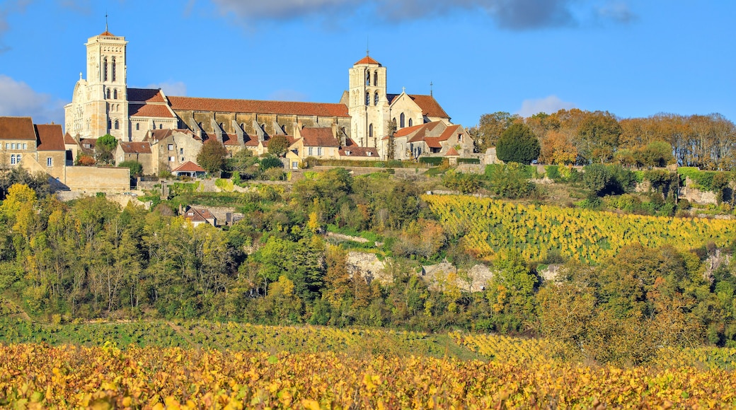La basilique Sainte-Marie-Madeleine de Vézelay, Bourgogne