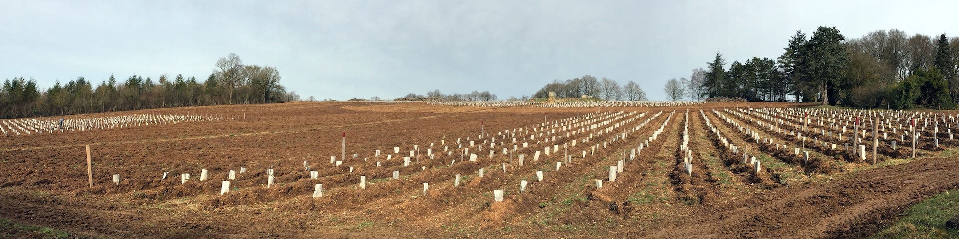 Sougères-en-Puisaye.