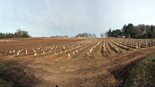 Sougères-en-Puisaye.