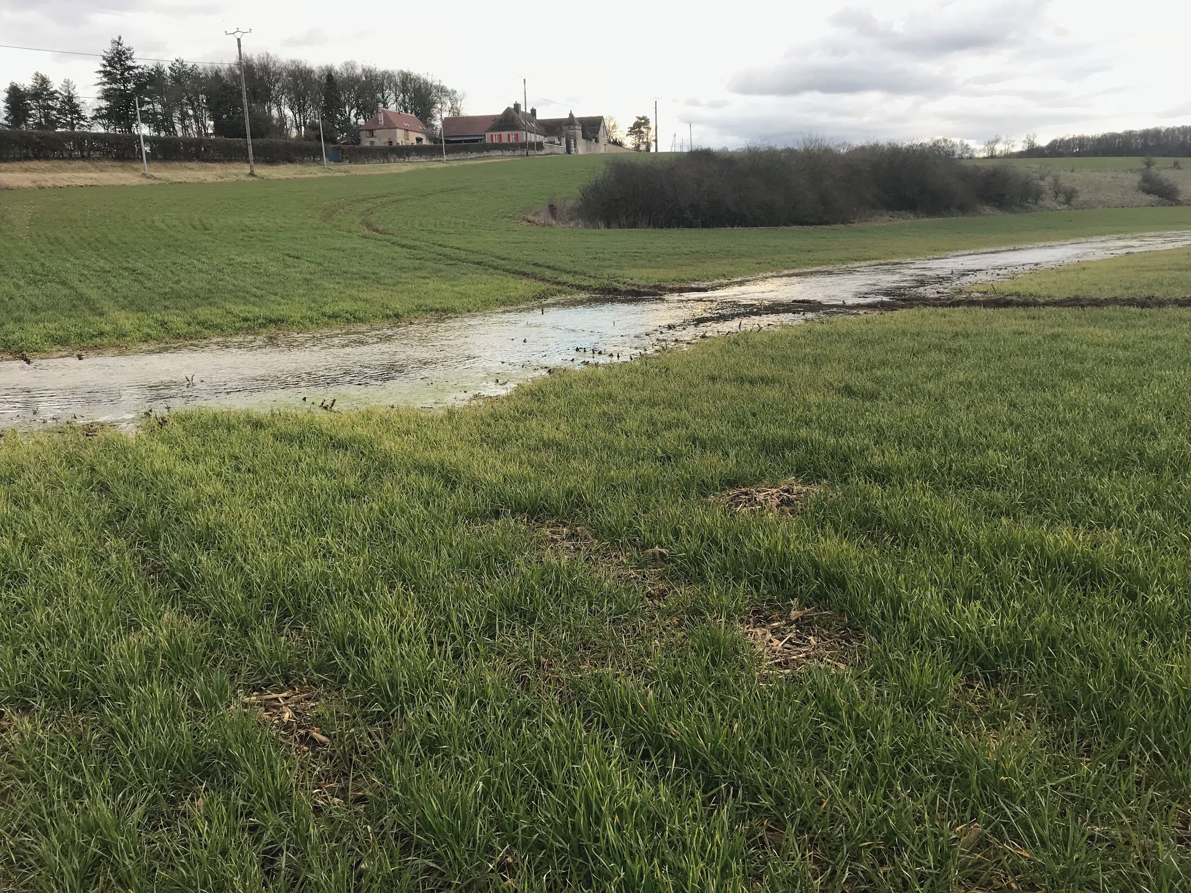 Rivière de Sougère-en-Puisaye en mars 2018.