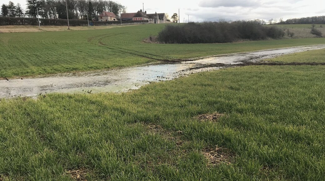 Rivière de Sougère-en-Puisaye en mars 2018.