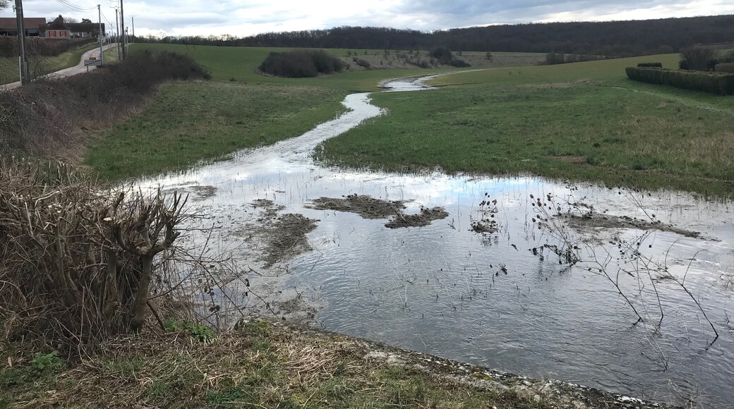Rivière de Sougère-en-Puisaye en mars 2018.