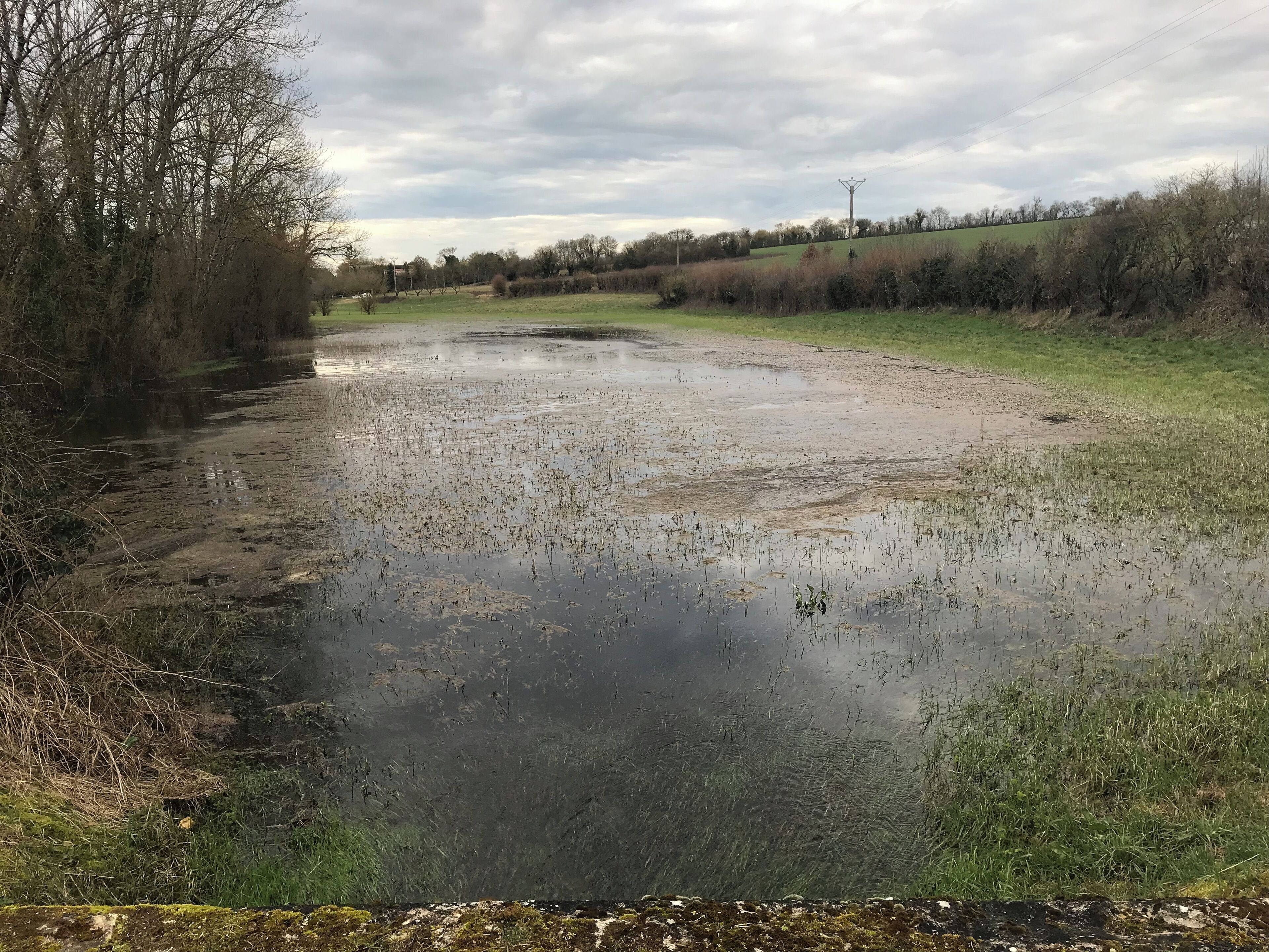 Rivière de Sougère-en-Puisaye en mars 2018.