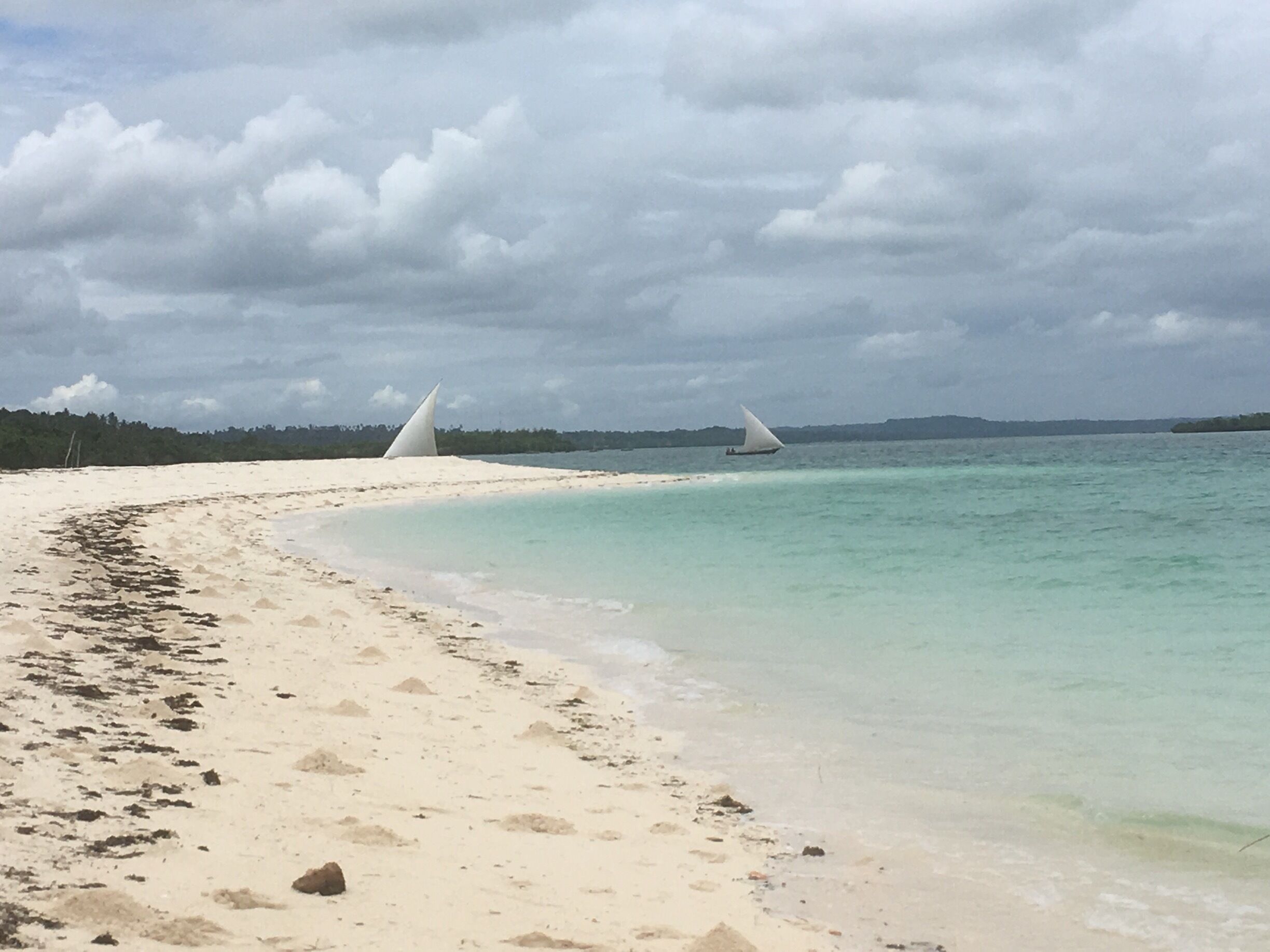 Zanzibar 
Paradise
Great beaches lovely people blue sea 