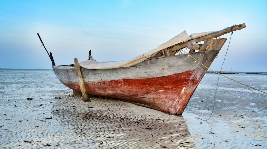 Beached!
Traditionally dhows such as these were sewn together using coconut coir (fibre) – a medieval practice born from the belief that magnets under the sea would suck any nails out of a vessel, thus condemning the crew to certain death beneath the waves.
#Dhow #Beach #Beaches #LifeatExpedia