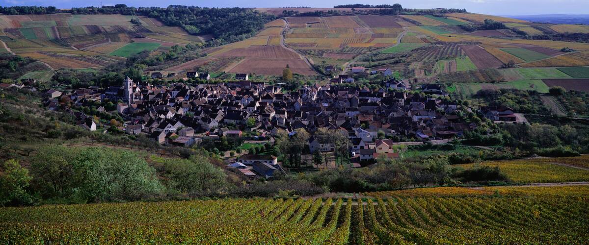 A rural village nestled in rolling hills with fields of crops and a clear blue sky.