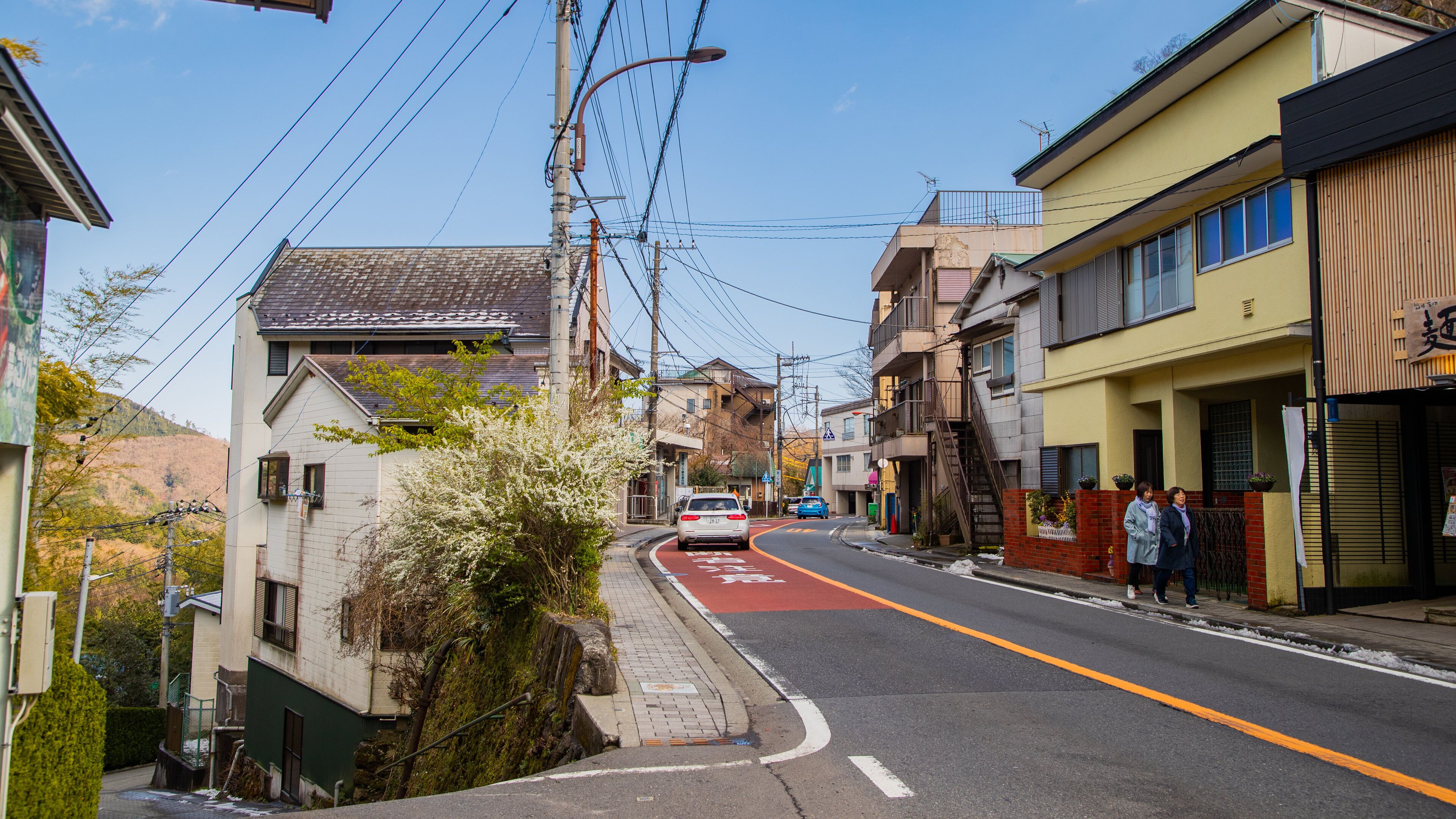 A residential street with houses, a red bike lane, and power lines.