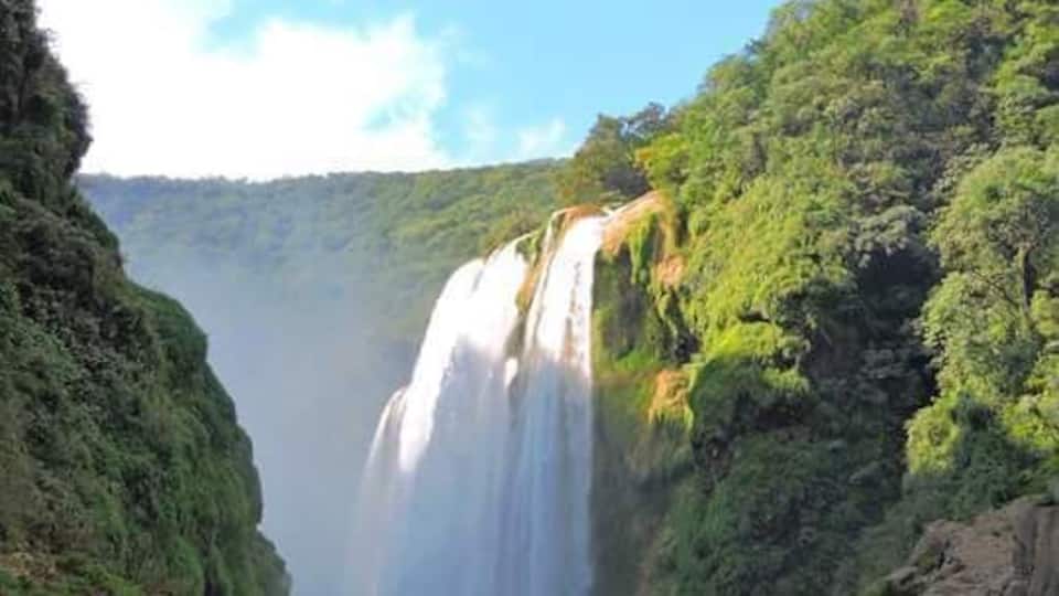 A waterfall cascading down a rocky cliff surrounded by lush greenery.