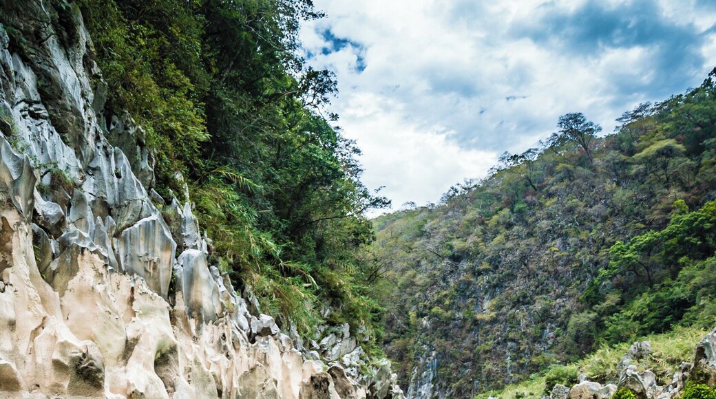 The boatride to Cascada Tamul in San Luis Potosi, Mexico is a wonderful trip.
The cyan water is so colourful, you can barely believe it's real. The waterfall though, is even more unbelievable.
#Mexico #SanLuisPotosi #Blue