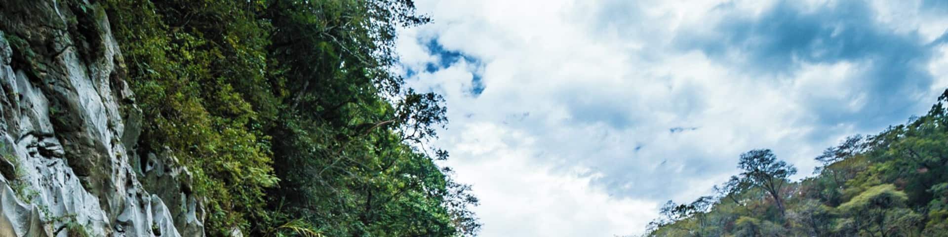 The boatride to Cascada Tamul in San Luis Potosi, Mexico is a wonderful trip.
The cyan water is so colourful, you can barely believe it's real. The waterfall though, is even more unbelievable.
#Mexico #SanLuisPotosi #Blue
