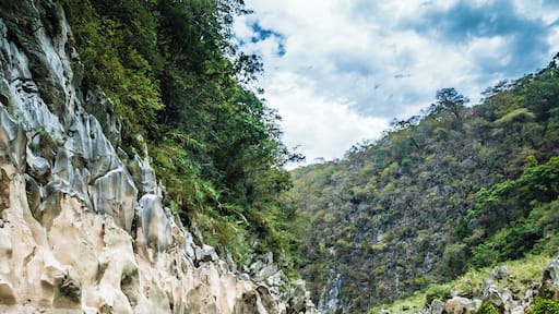 The boatride to Cascada Tamul in San Luis Potosi, Mexico is a wonderful trip.
The cyan water is so colourful, you can barely believe it's real. The waterfall though, is even more unbelievable.
#Mexico #SanLuisPotosi #Blue