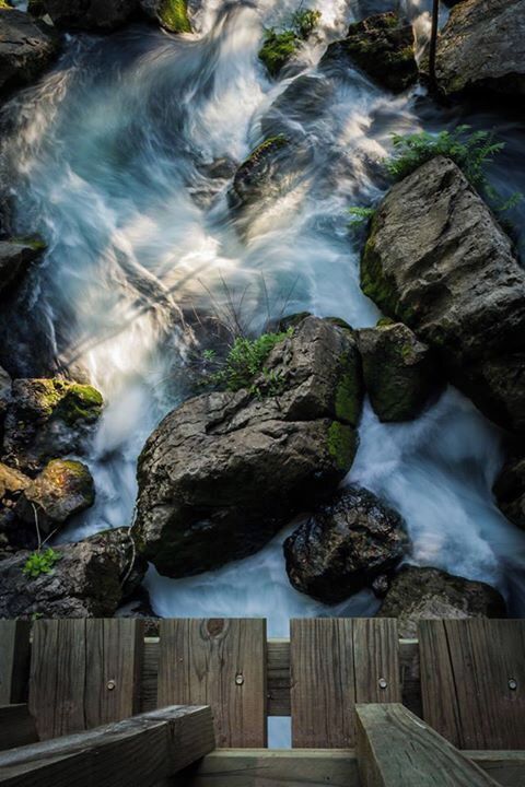 Above the bridge that leads into the Cueva de Agua, one of the only cenotes outside the Yucatan Peninsula.